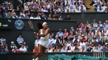 серина нямам губя open