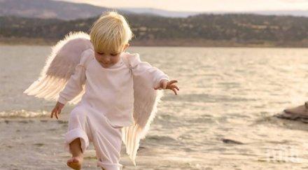 уникално знака имате ангел хранител