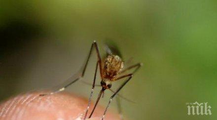 продължава пръскането комари пловдив