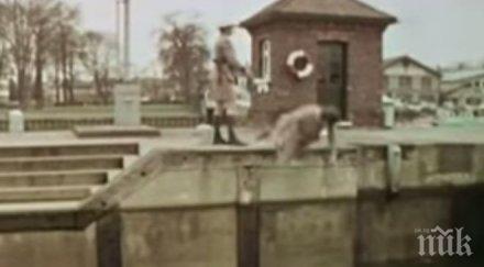 евродепутат дсб онагледи ситуацията около гърция скеч видео