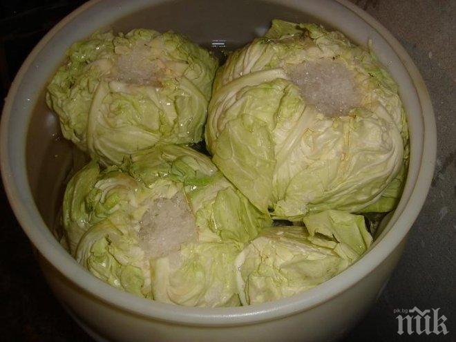 Учени: Зелето спасява от захарен диабет