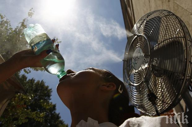 Жегите в Япония взеха две жертви, а 769 са в болница 