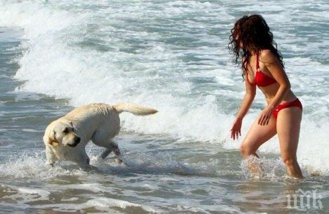 Ръст на записванията за море през септември