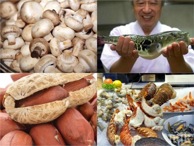 Внимание! Вижте 5 вкусни храни, които са потенциално смъртоносни!