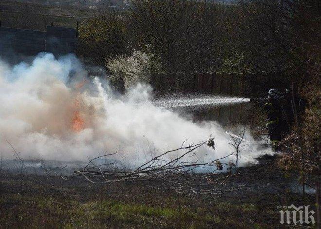 Горяха сухи треви над Благоевград 
