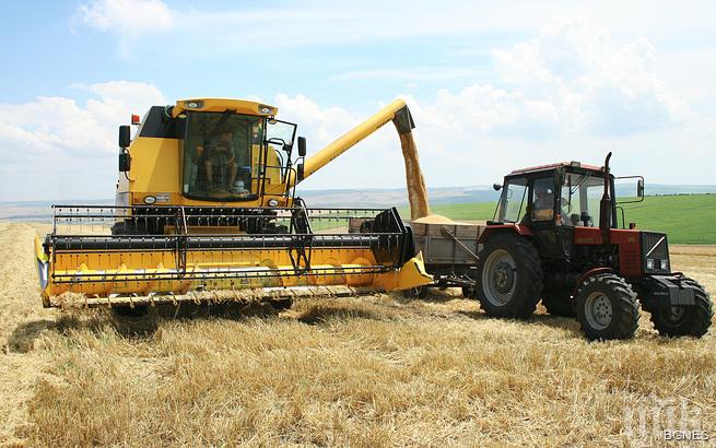 Зърнопроизводители плашат с протест