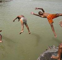 Мор в Япония заради горещините