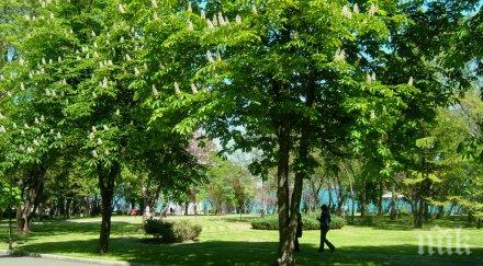 пръскат паразити морската градина варна