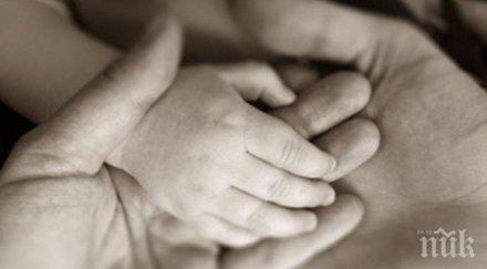 изготвиха нов социален доклад изследване родителския капацитет