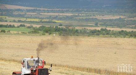 парламентът закри националната служба зърното