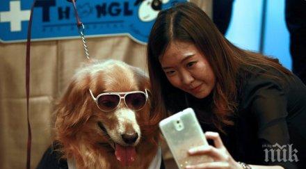 финландия унгария румъния можете легално правите с*кс животни