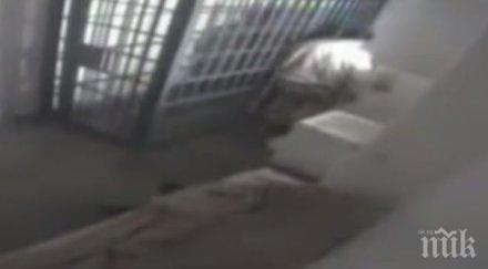 избяга затвора наркобаронът хоакин гусман видео