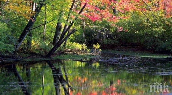 Тези снимки са уникални, защото не са обработвани с фотошоп!