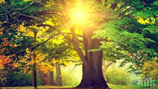 Метеоролози от БАН: След лекото захлаждане - утре жегите се завръщат с пълна сила!