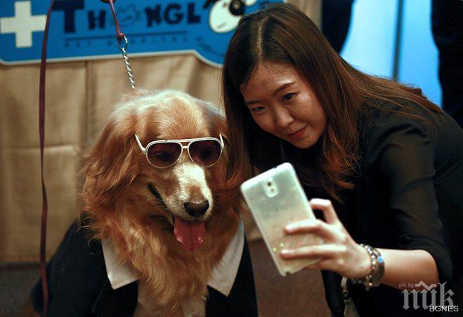 Във Финландия, Унгария и Румъния можете легално да правите с*кс с животни