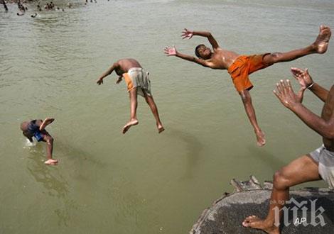 Мор в Япония заради горещините