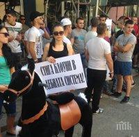 EКШЪН пред ВСС! Гражданско сдружение изненада клакьорите на Цветан Василев, Радан и Христо Иванов