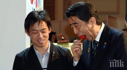 гигантски ягоди отглеждат япония