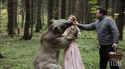 сексът животни легален финландия румъния унгария