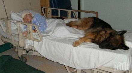 сърцераздирателни фотографии всеки човек види поне веднъж живота