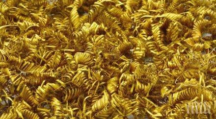 археолози откриха 2000 мистериозни златни спирали дания