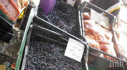 590 тона плодове зеленчуци пропуски документацията