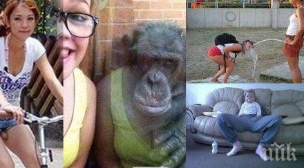 снимки всичко друго изглежда