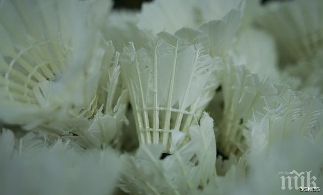 Започна Световното по бадминтон за глухи 