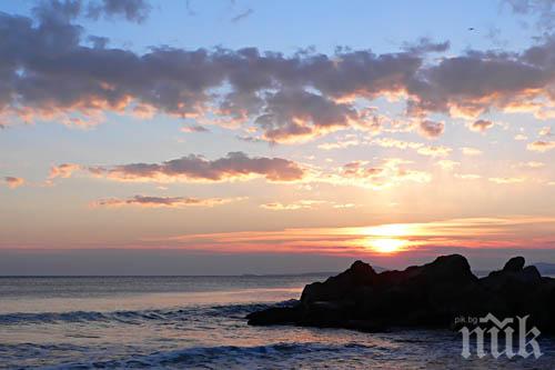 Българка постави нов световен рекорд по гмуркане в открити морски води