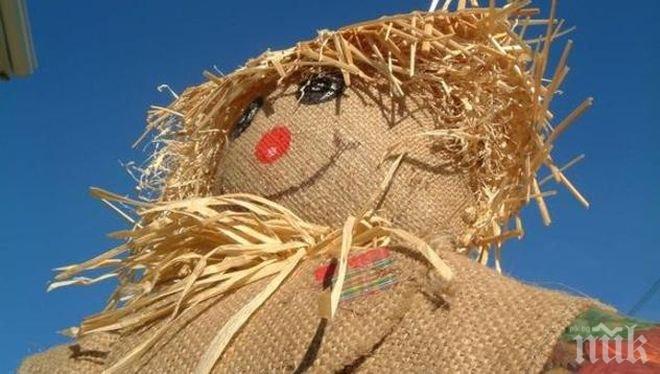 Секс кукла плашило гони елени от имота на фермер