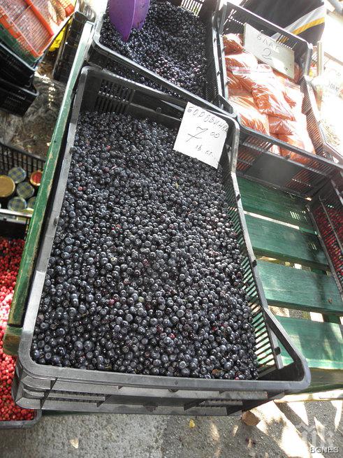 Над 590 тона плодове и зеленчуци с пропуски в документацията