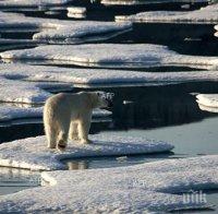 Учени: 2014 година е била най-горещата в историята