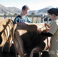 Ветеринарните власти се задействаха срещу заразата от антракс - вижте мерките, които взимат