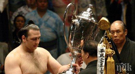 котоошу победи киселото мляко