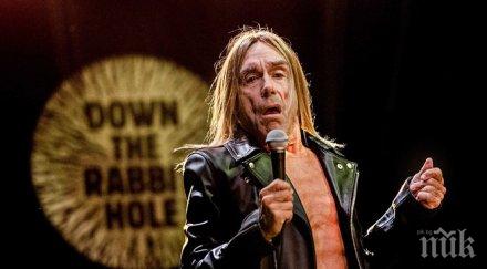 иги поп играе пънк ангел ням филм