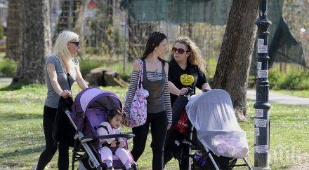 ходенето пеша спасява 000 живота годишно