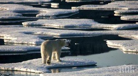учени 2014 година била горещата историята