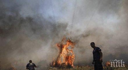 българин арестуван пожарите атина