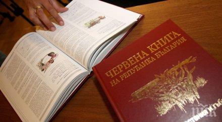 българия ново издание червената книга