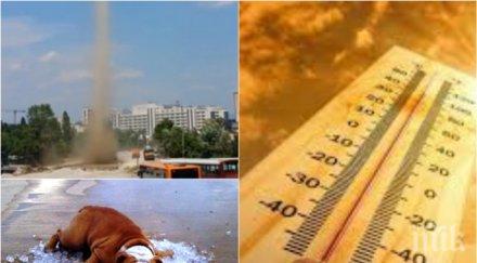 внимание жегата става страховита температурите удрят 40° връхлитат прашни дяволи