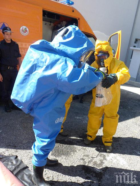 Месото и кожата на умрялата от антракс крава са продадени в Провадия, Карнобат и Варна