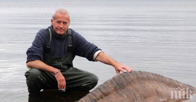 Британецът, посветил живота си на чудовището Неси, 25 г. дебнел огромен сом