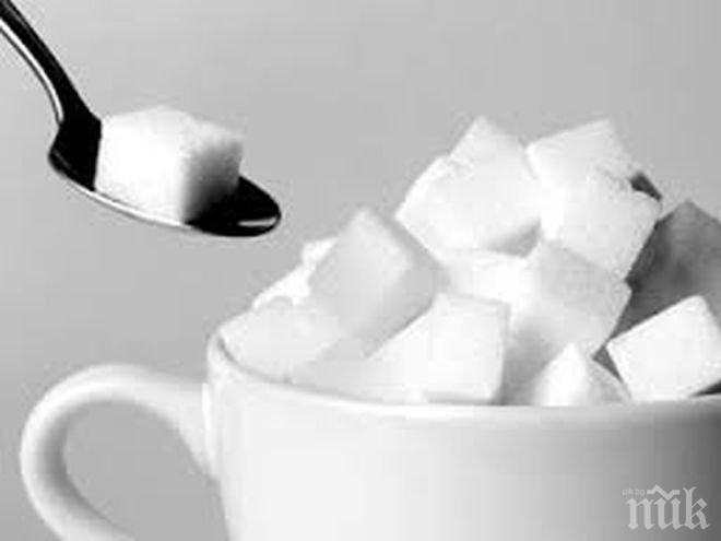 Учени от Великобритания обявиха допустимата доза захар на ден