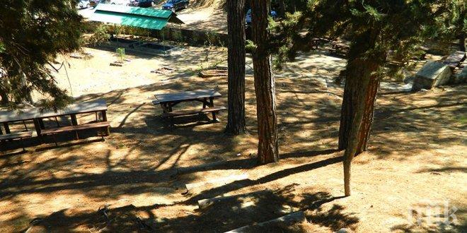 Зловещо! Откриха жестоко убита 28-годишна българка в кипърски къмпинг! (допълнена)