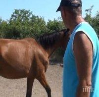 Българо-американско учение със самолети тормози Южна България (видео)