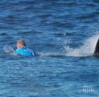 Бяла акула нападна топ сърфист по време на живо излъчване (видео)