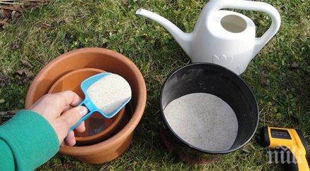 направиха летен хладилник без ток идеален къща пикник