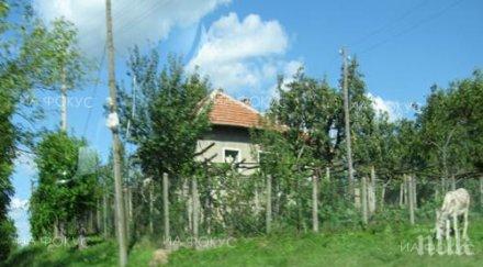 шабленското село тюленово проведе арт фест