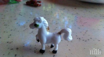 родители внимавайте каква игла крие опашката конче шоколадово яйце играчките крият неочаквани опасности снимки