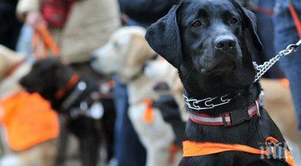 впечатляващи истории любов вярност преданост